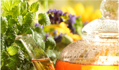 Permalink to: Results Based Natural Medicine Dr-Alan-Christianson-webdesign-layout-4_06