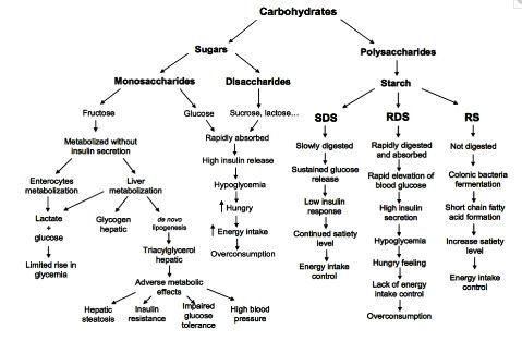 Resistant Starch Food Chart