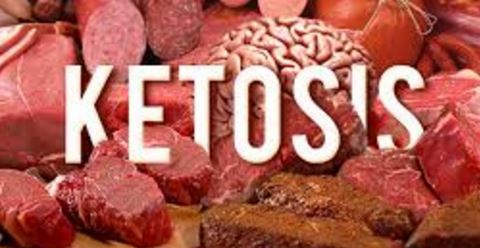 Breaking Study: Carbs vs Ketosis