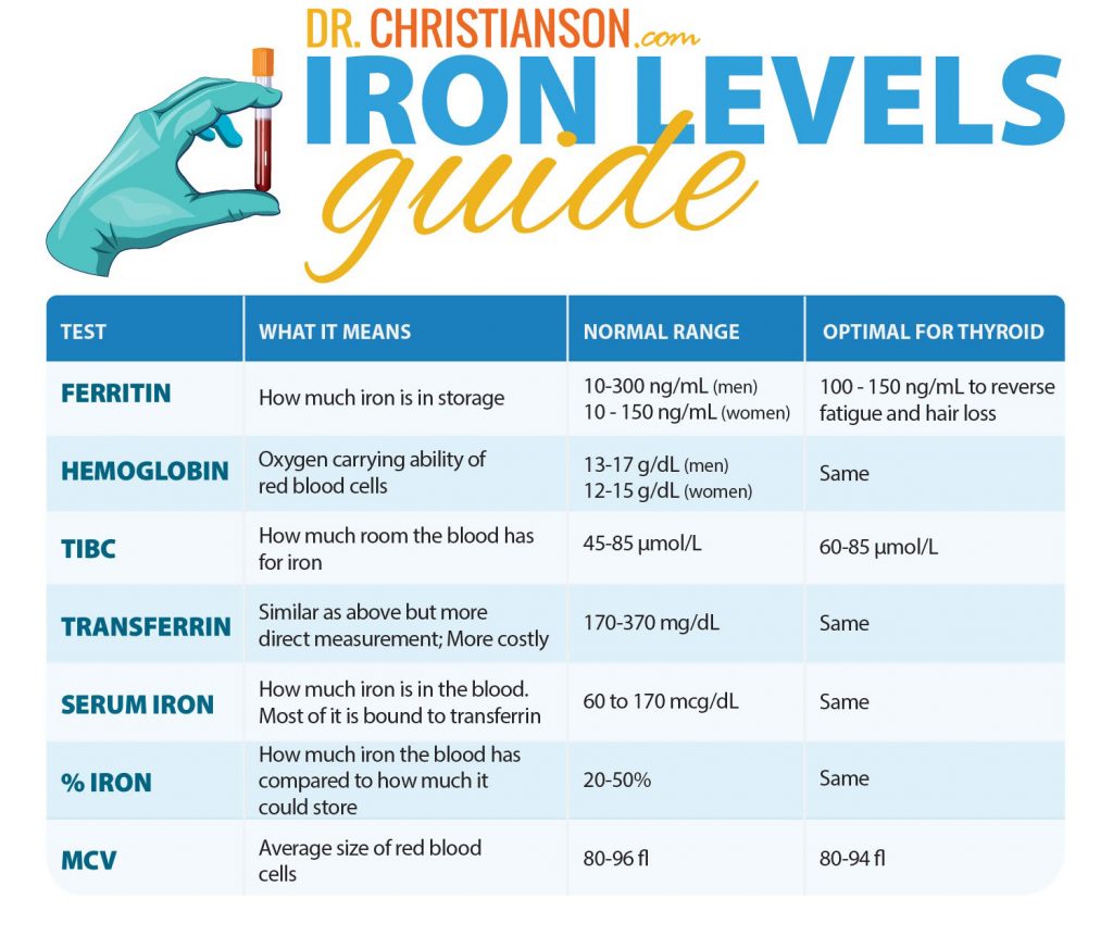 Iron Levels In Blood Work Range How Does B12 Affect Iron Levels At Jordan Riddle Blog