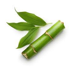 Bamboo (Bambusa vulgaris) Herbal Extract