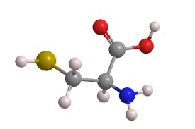 Cysteine