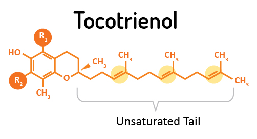 Tocotrienols