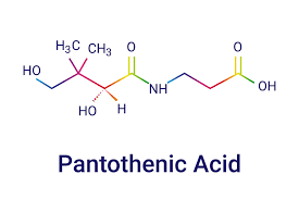 Vitamin B5 (Pantothenic Acid) (5 mg)